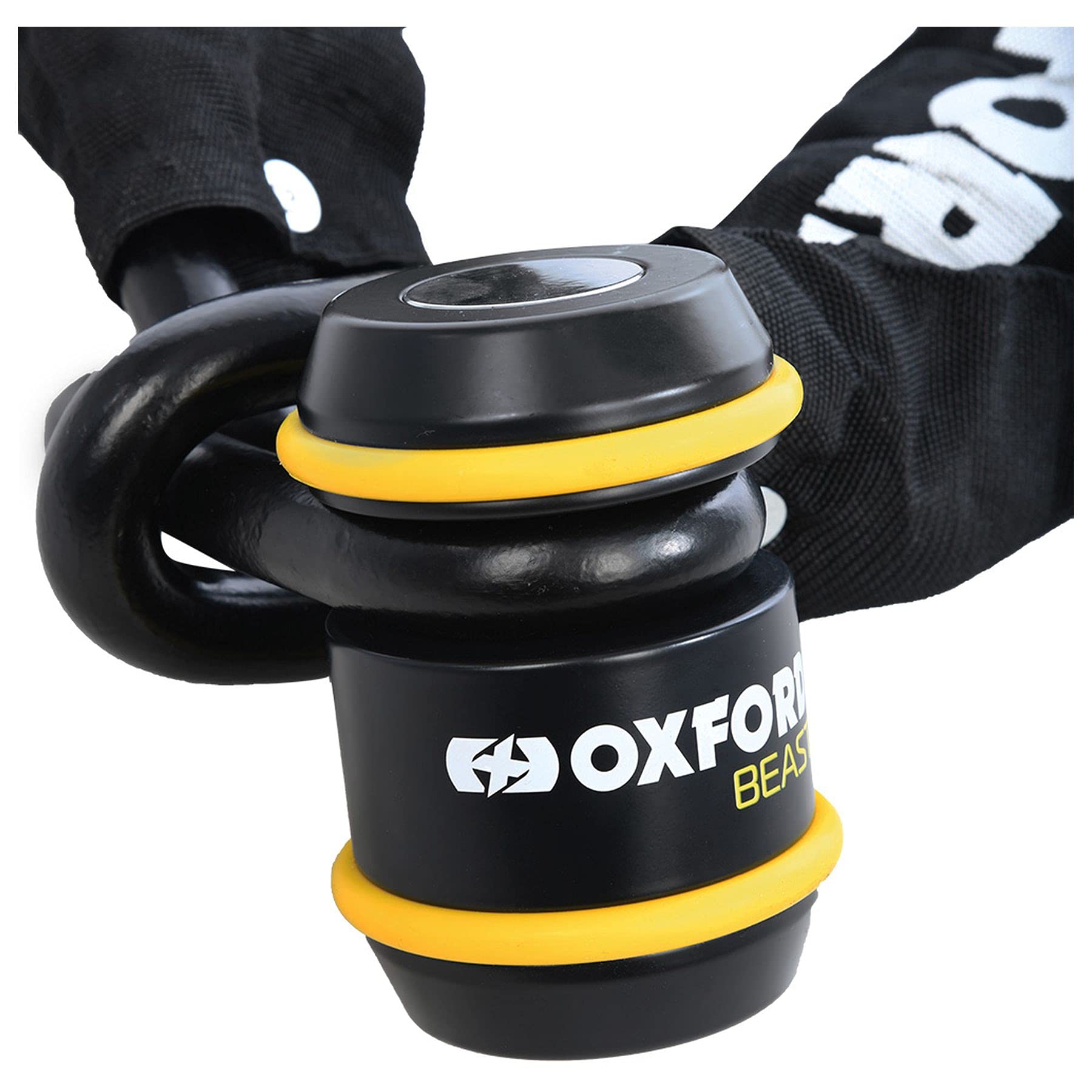 Amazon | Oxford - ビーストロック 幅87mm x 高さ124mm (3.45インチ x